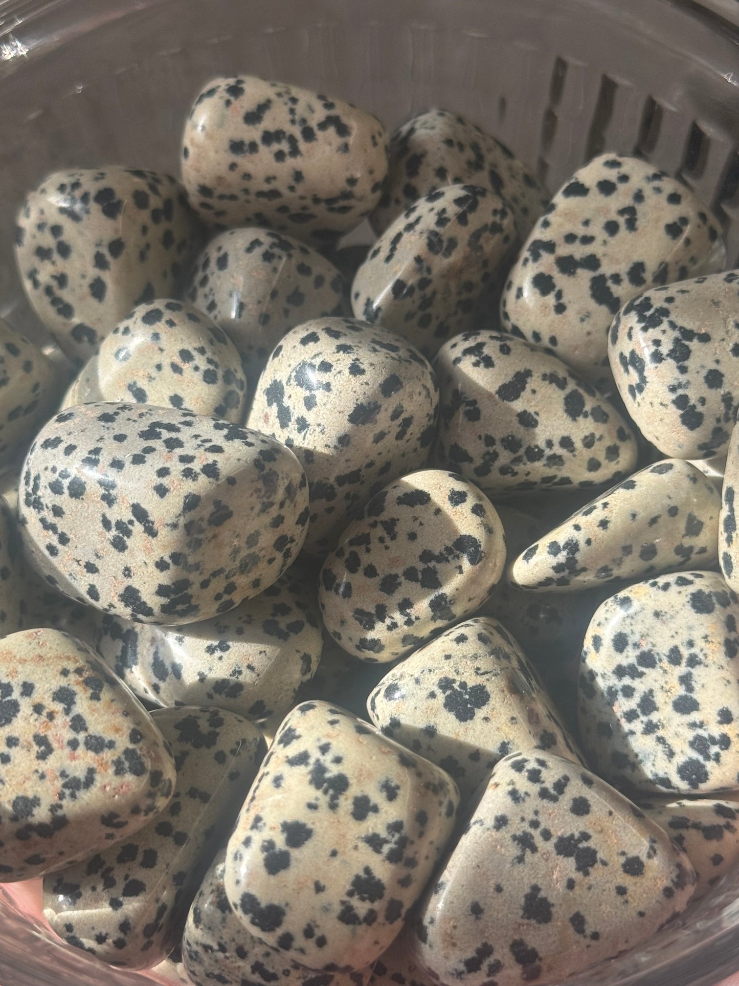dalmatian jasper tumbles