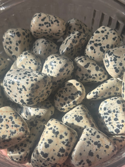 dalmatian jasper tumbles
