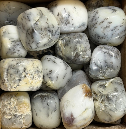 dendritic agate tumbles