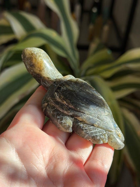 labradorite sea turtle