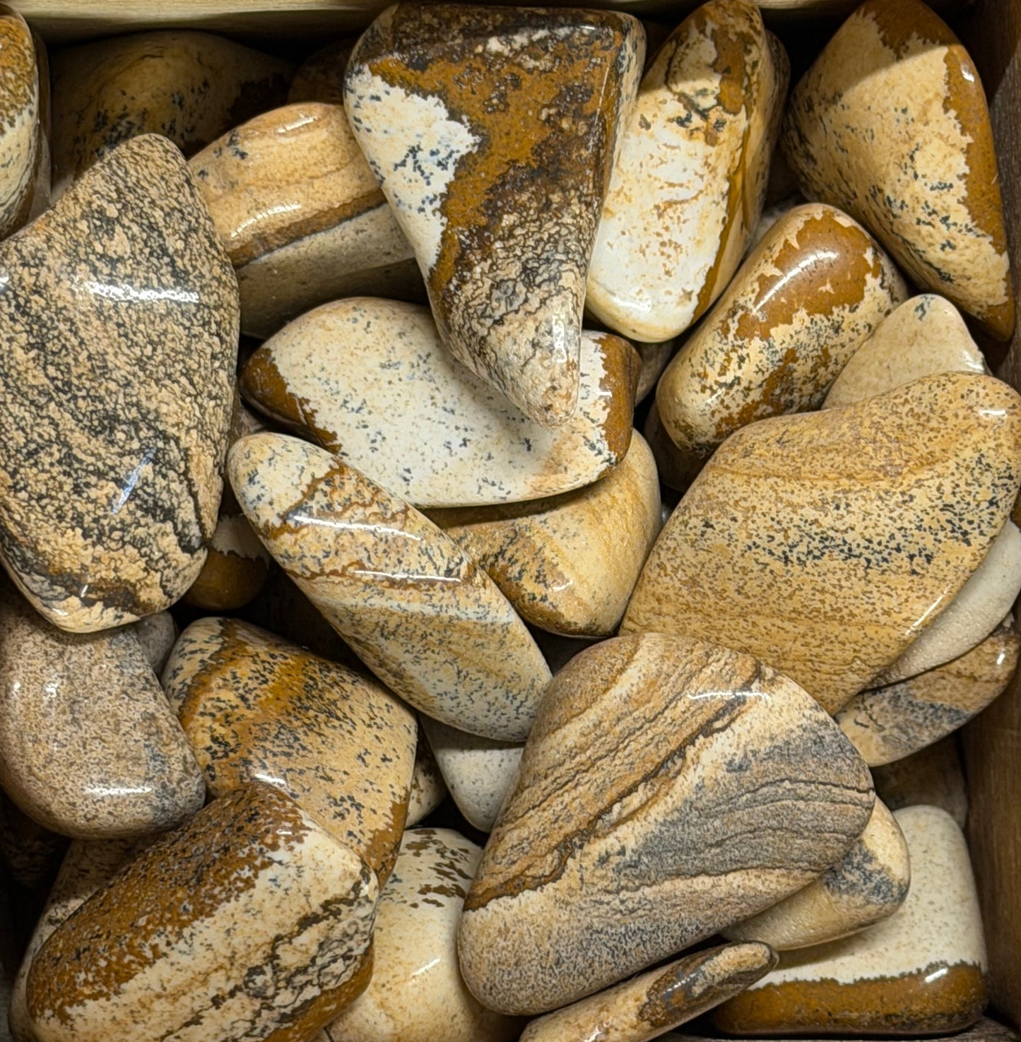 picture jasper tumbles