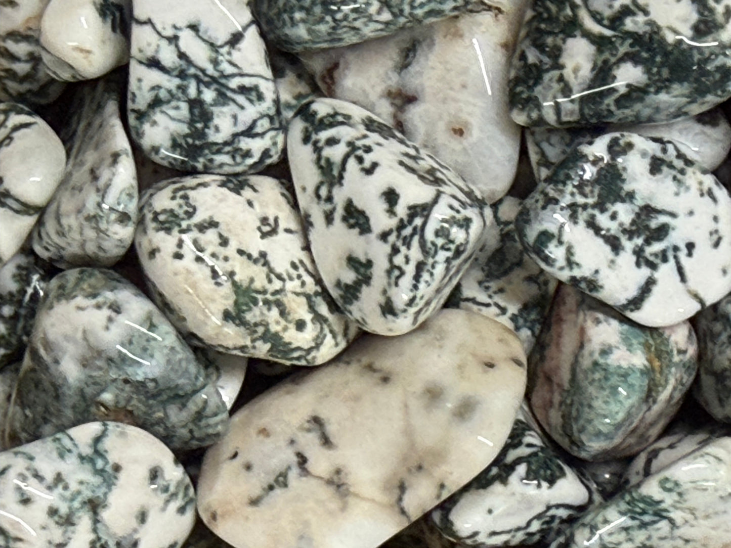tree agate tumbles
