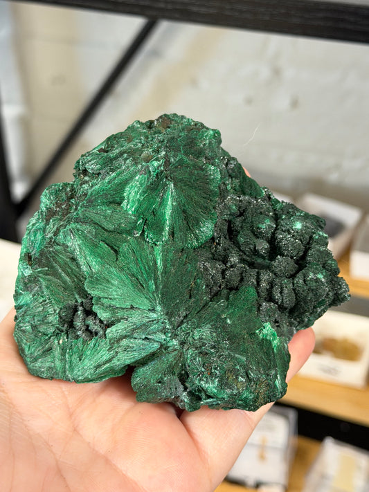 high quality velvet malachite