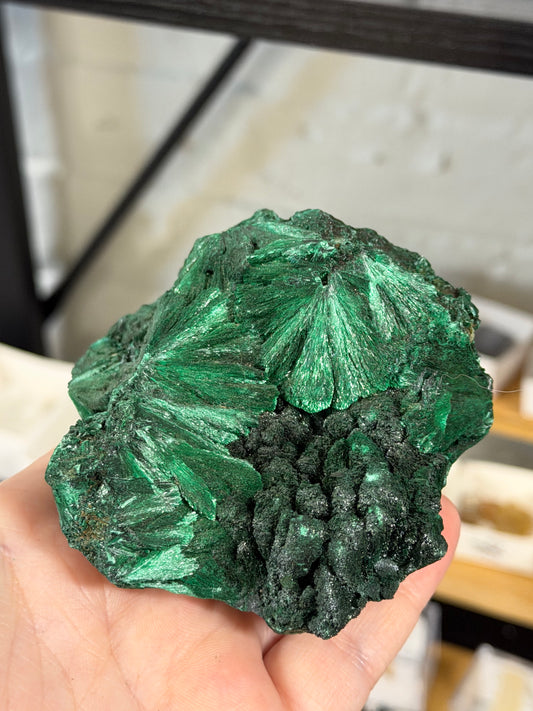 high quality velvet malachite