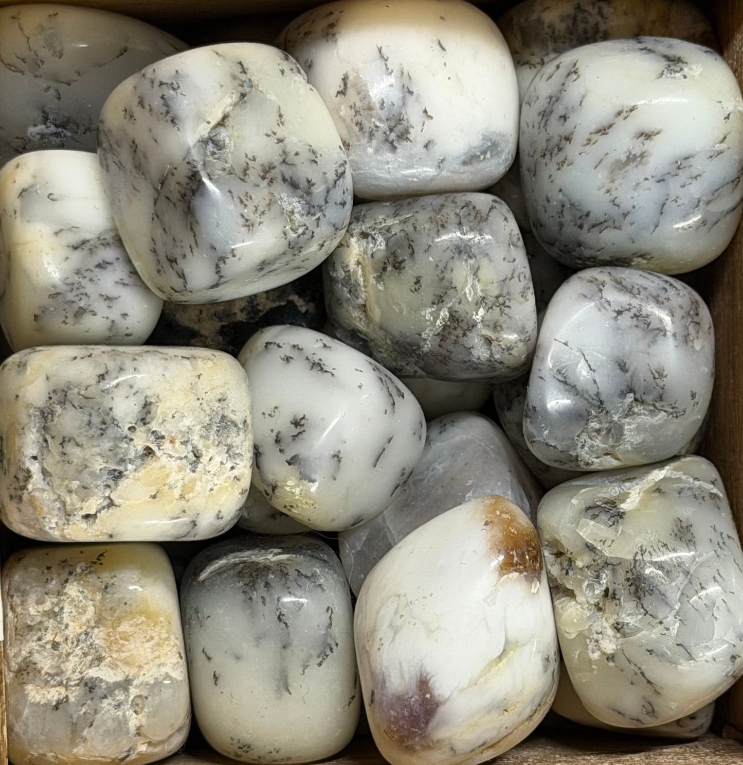 dendritic agate tumbles