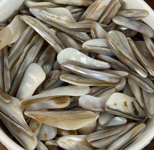 mother of pearl shell