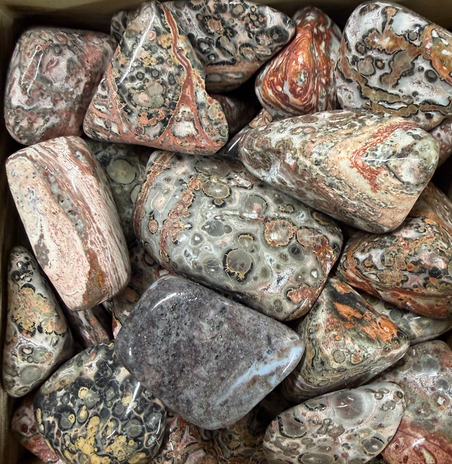 leapardskin jasper tumbles
